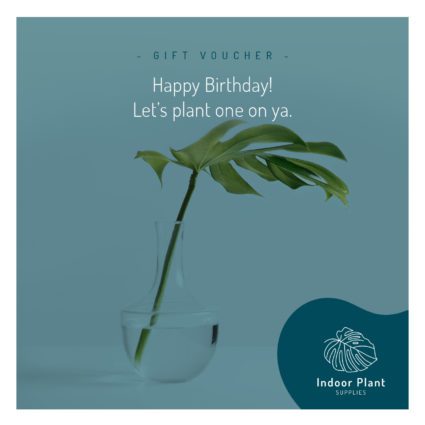Indoor Plant Supplies Happy Birthday Gift Voucher