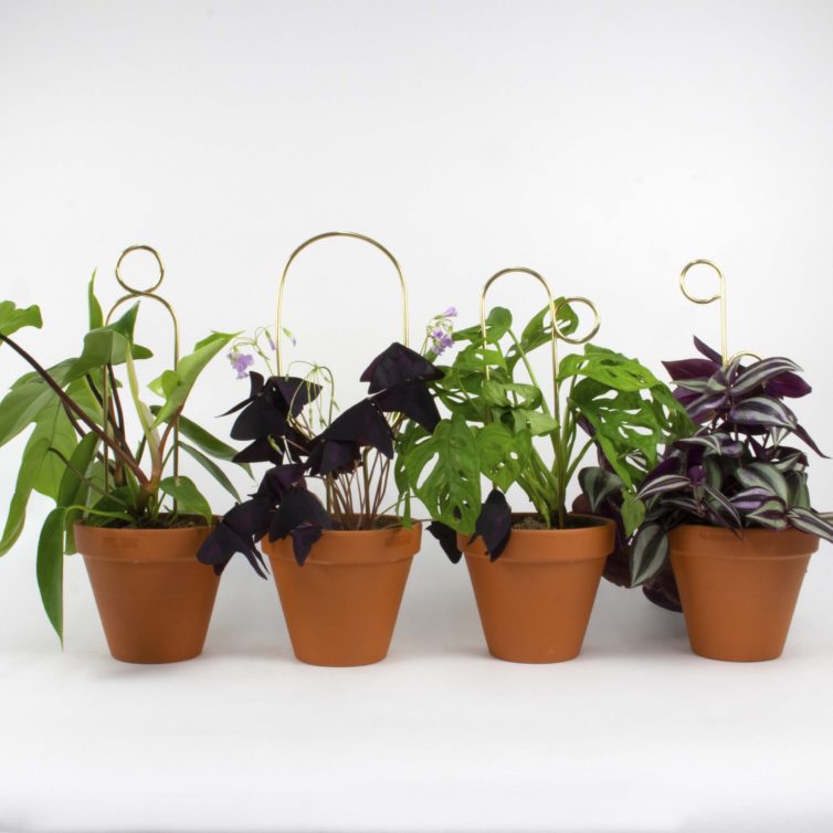 Botanopia Golden Mini Plant Stakes