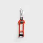 Pallares Pruning Shears curve