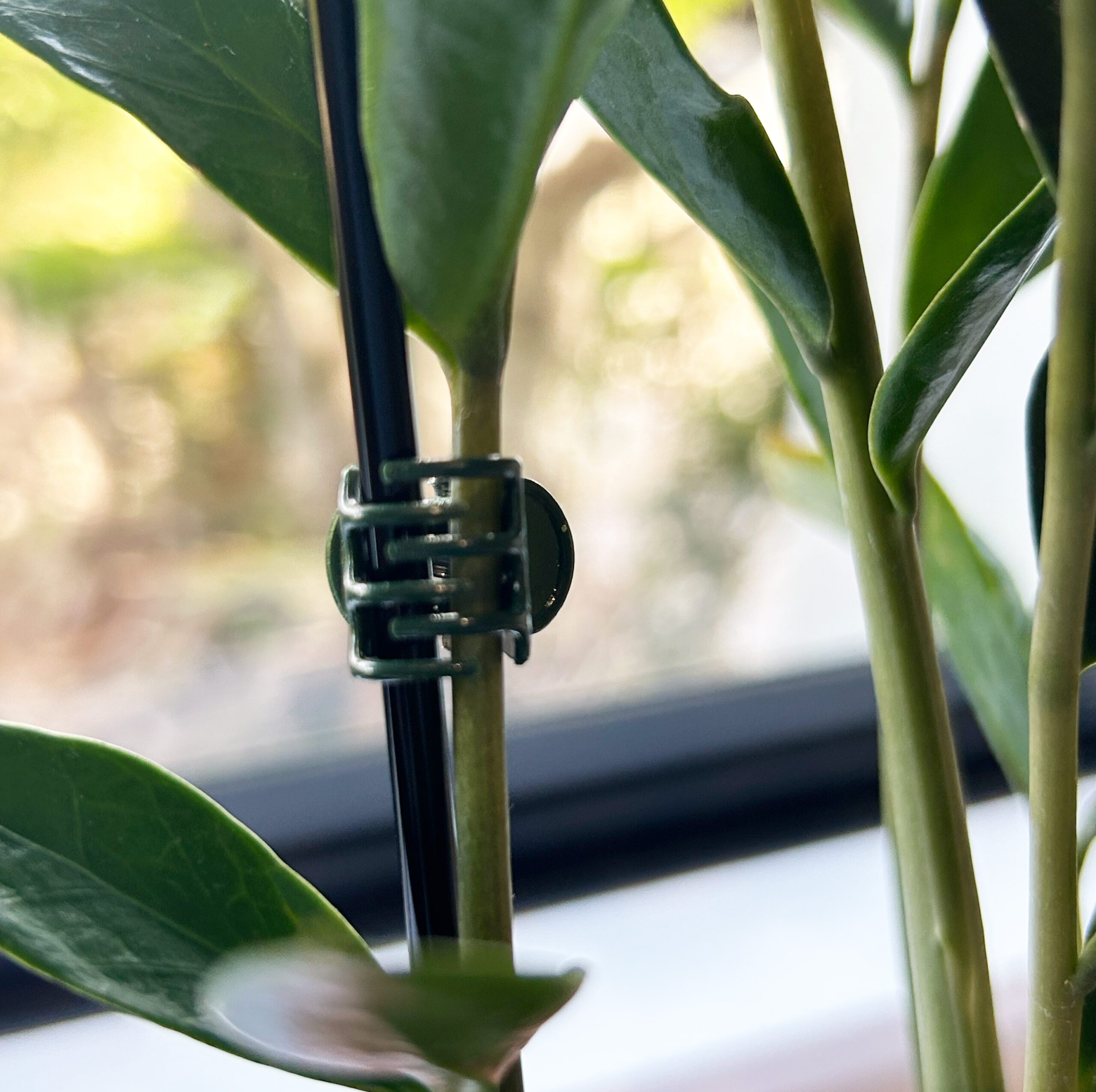 Plant Support Claw Clips