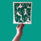 Indoor Plant Reuseable Cleaning Cloth - Monstera