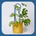 Plant Support Blue