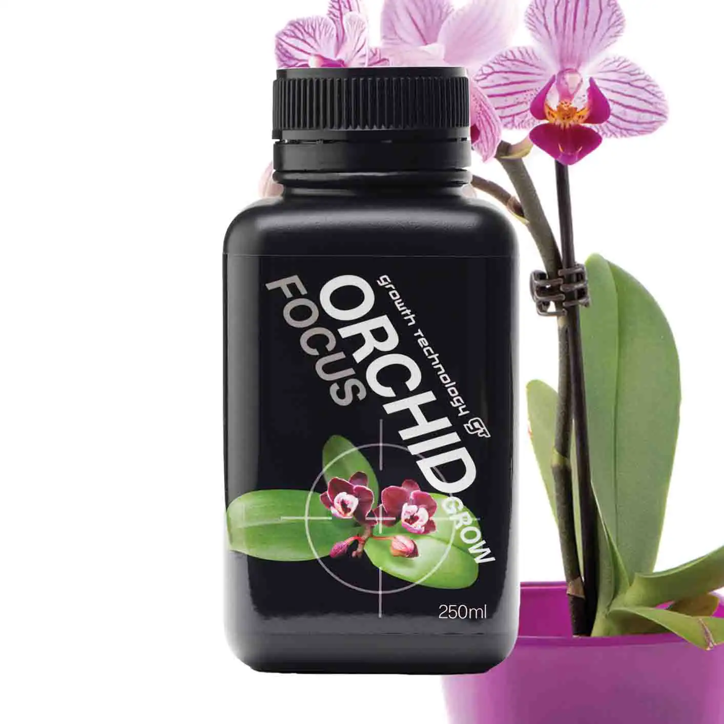 Orchid Focus Growth Technology
