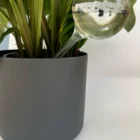 Self watering globes large clear