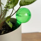 Self watering globes small green