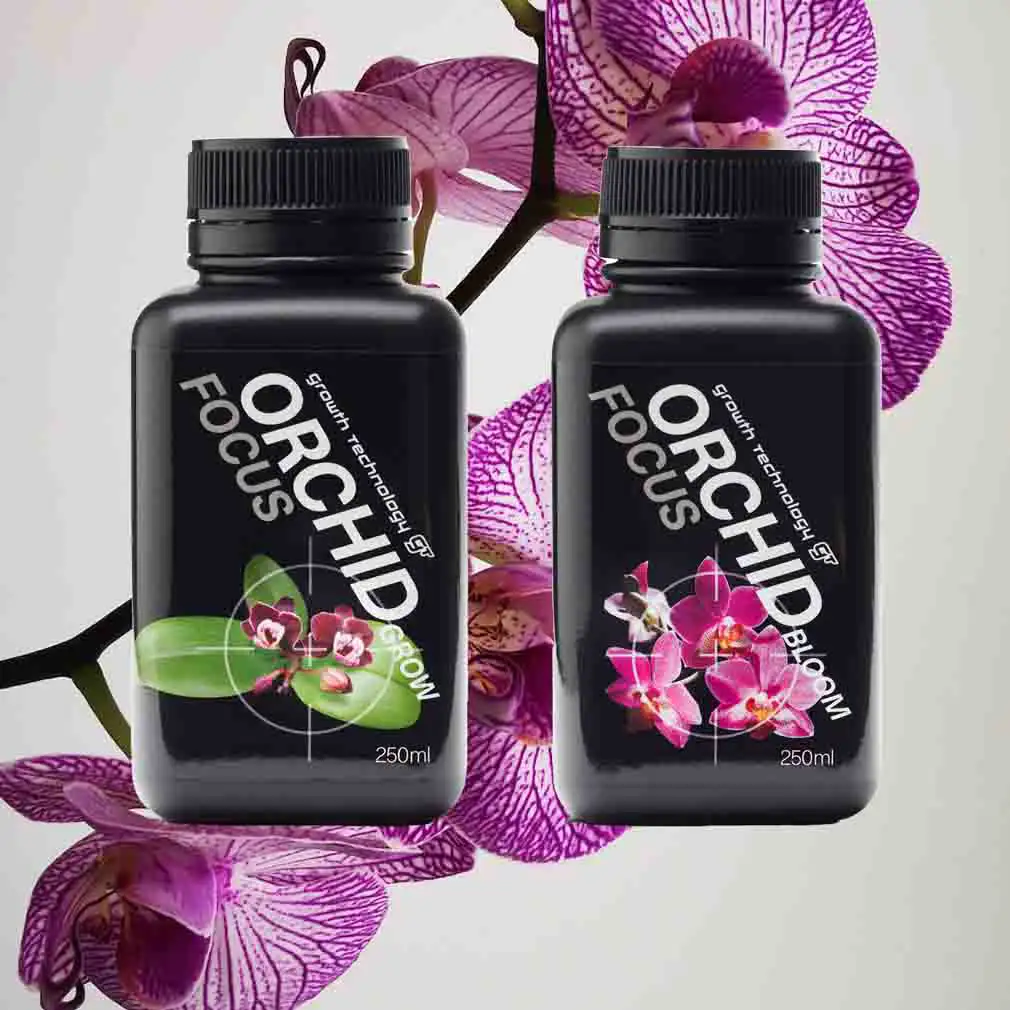 Orchid Focus Bundle Growth Technology