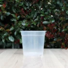Clear Nursery Pot 14.5cm Teku