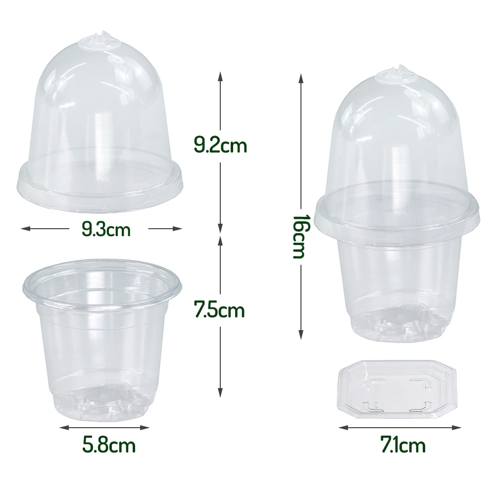 Clear Propagation Pots Humidity Dome