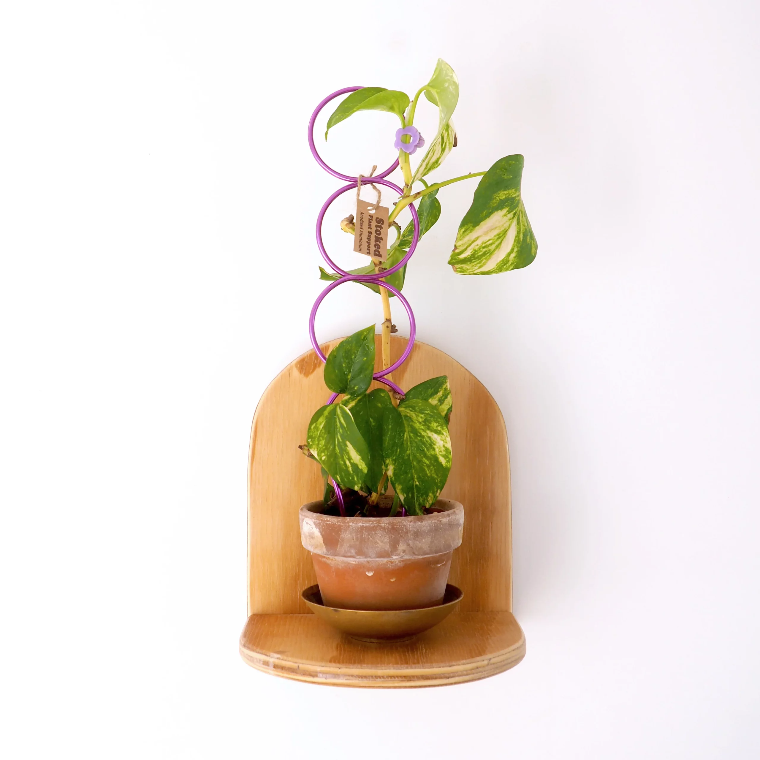 Daze Workshop Stoked Plant Support - Lilac