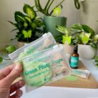 uBloomd Green Sticky Traps for fungus gnats - Nature Collection