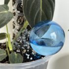 Self Watering Globes - Small Blue