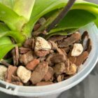 Bio Leaf Premium Orchid Potting Mix Coarse